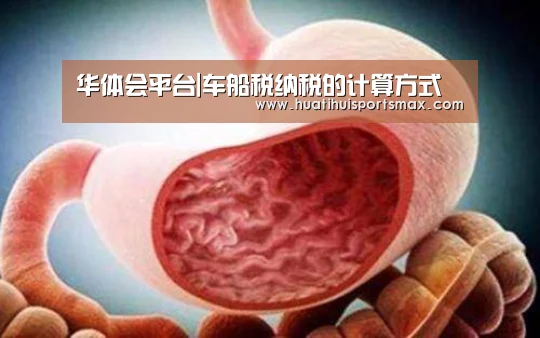 华体会平台|车船税纳税的计算方式(图3) 华体会平台