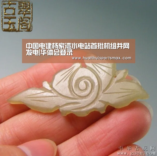 中国电建杨家湾水电站首批机组并网发电|华体会登录(图1) 华体会平台