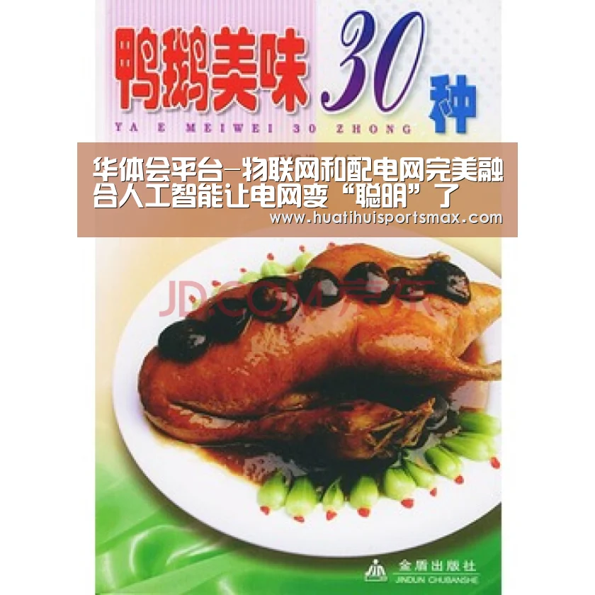 华体会平台-物联网和配电网完美融合人工智能让电网变“聪明”了(图2) 华体会登录